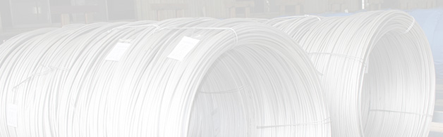Stainless Steel Wires
