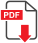 Download PDF